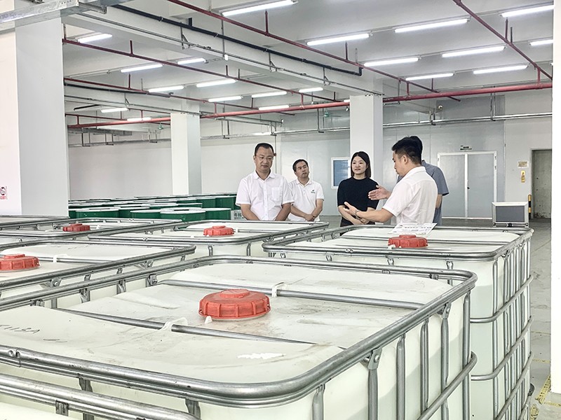 政企连心·共促发展|东莞市东城区政府领导莅临星空xingkong官方新材参观指导